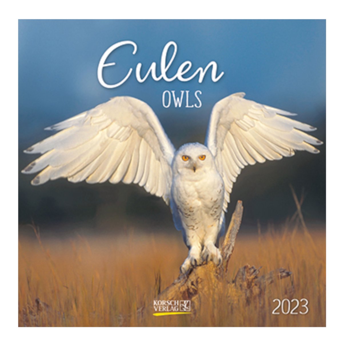 Uilen - Kalender 2023 - 30x30cm