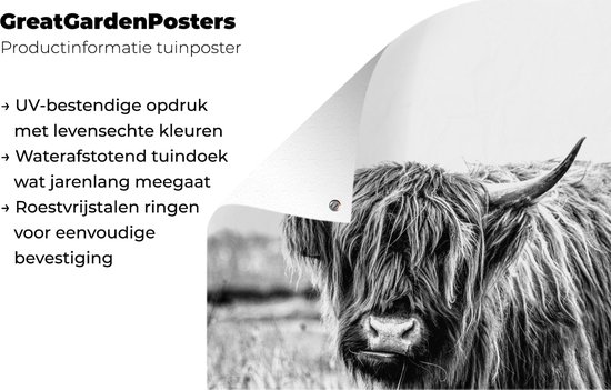 Posters de jardin Highlander écossais - Herbe - Zwart - Wit - 50x50 cm - Toile de jardin - Affiche extérieure
