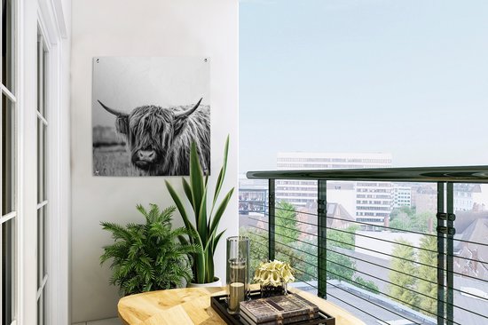 Posters de jardin Highlander écossais - Herbe - Zwart - Wit - 50x50 cm - Toile de jardin - Affiche extérieure