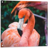 WallClassics - Tuinposter – Mooie Roze Flamingo - 80x80 cm Foto op Tuinposter  (wanddecoratie voor buiten en binnen)
