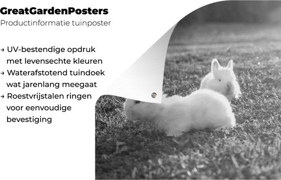 Décoration de Jardin Deux bébés lapins jouant dans l'herbe - noir et blanc - 40x30 cm