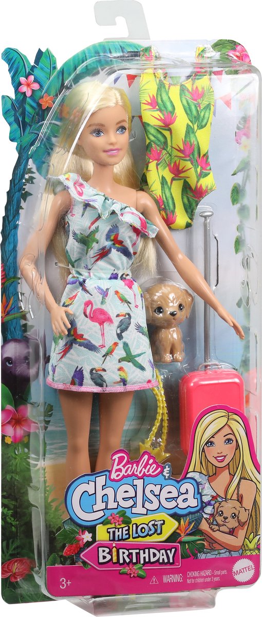 Barbie en Chelsea: The Lost Birthday Barbie & Huisdier - Pop