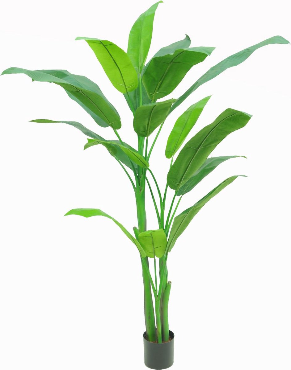 Heleconia kunstplant 170cm - groen