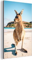Un kangourou sur la plage Aluminium 80x120 cm - Tirage photo sur aluminium (décoration murale en métal)