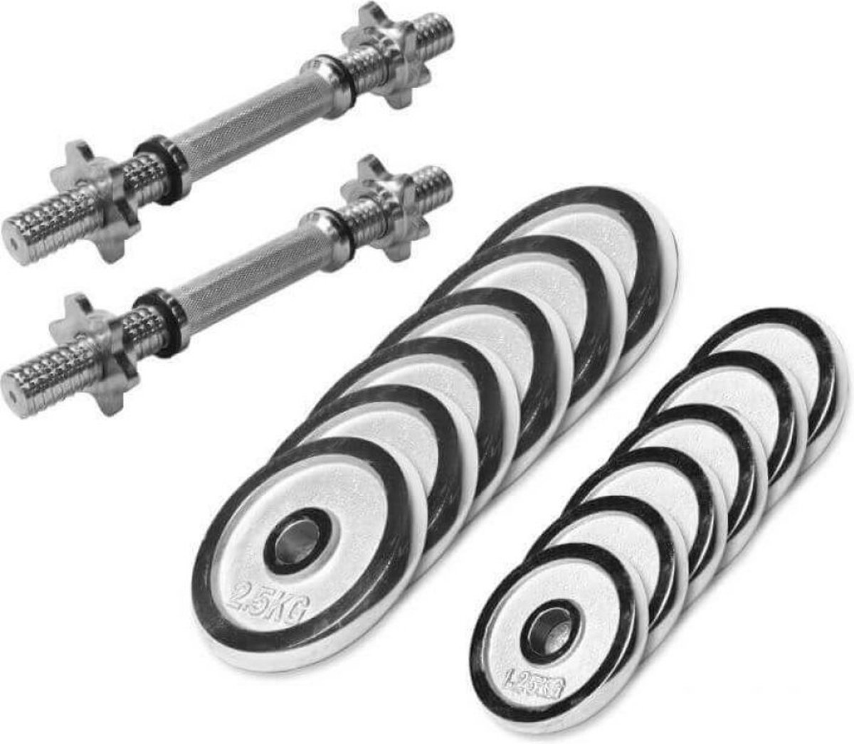 Gorilla Sports Dumbellset - Halterset - Chroom - 27.5 kg