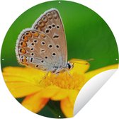 Tuincirkel Bloemen - Vlinder - Natuur - 60x60 cm - Ronde Tuinposter - Buiten