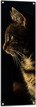 WallClassics - Tuinposter – Poes in de Nacht - 40x120 cm Foto op Tuinposter  (wanddecoratie voor buiten en binnen)