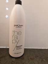 Postquam Dual Action Shampoo 1000ml,Treatment Shampoo based on Soya and Oat, that acts in a selective way depending on the necessities and condition of the hair. It regulates the oil and dryness that accurs in the hair (Roots and Ends).