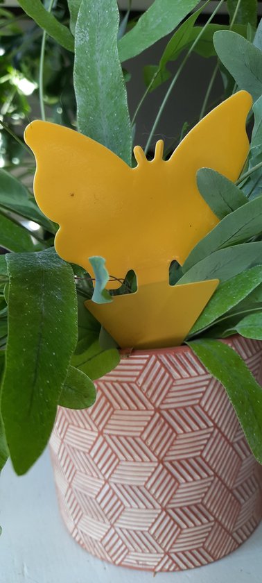 Rouwvliegvanger - Fruitvliegvanger - Rouwvliegjes bestrijden - Fruitvliegjes bestrijden - Varenrouwmug - Fruitvlieg - Plakstrips - Vangkaarten - Vangplaten - Insectenval - Insectenvanger - 10 Stuks - Vlinder