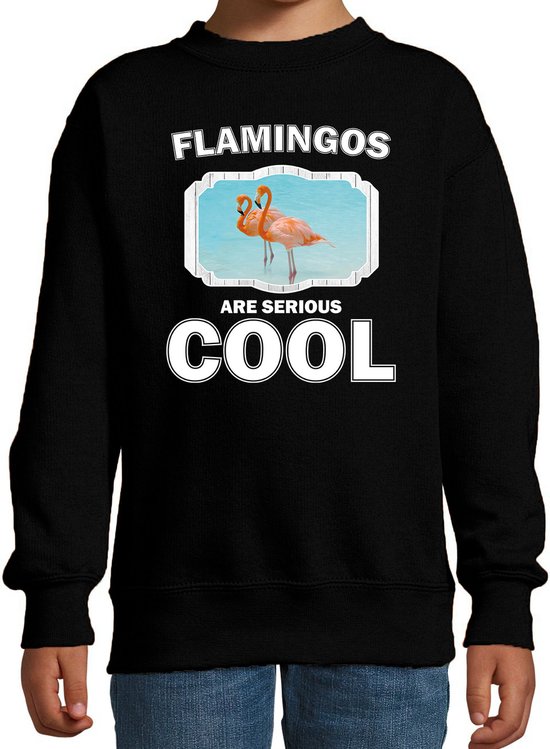 Dieren flamingo vogels sweater zwart kinderen - flamingos are serious cool trui jongens/ meisjes - cadeau flamingo/ flamingo vogels liefhebber - kinderkleding / kleding 122/128