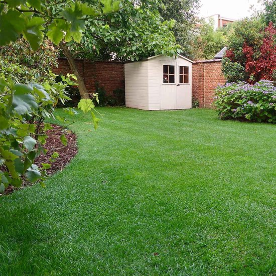 Snelkiemend Graszaad voor 50m² Gras - Hoge Kwaliteit MOOWY Power Lawn Gras voor een Snel- en Dichtgroeiend Meerjarig Gazon - Moowy