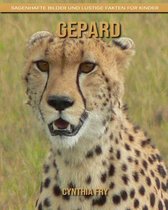 Gepard