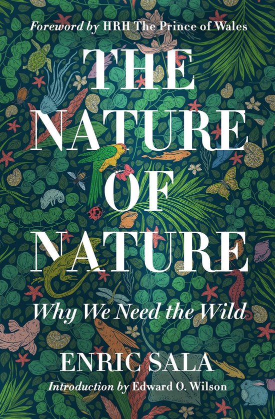 The Nature of Nature - cover