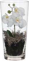 Witte Orchidee/Phalaenopsis kunstplant 30 cm voor binnen - Kunstplanten/nepplanten/binnenplanten