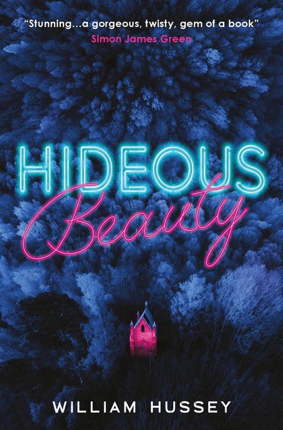 Hideous Beauty - cover