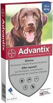 ADVANTIX 6 antiparasitaire pipetten - Voor grote honden van meer dan 25 kg