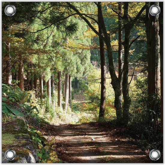 Tuinposter –Weg in het Bos– 100x100 Foto op Tuinposter (wanddecoratie voor buiten en binnen)