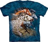 T-shirt Find 13 Horses XXL