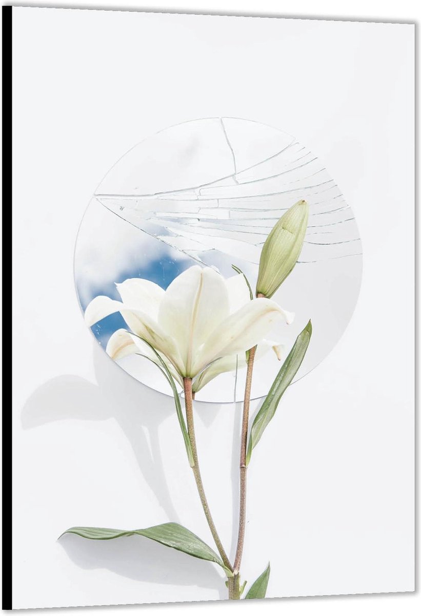 Dibond –Bloem met Gebroken Spiegel– 80x120 Foto op Aluminium (Wanddecoratie van metaal)
