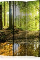 Kamerscherm - Scheidingswand - Vouwscherm - Forest Lake [Room Dividers] 135x172 - Artgeist Vouwscherm