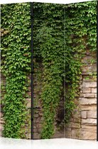 Kamerscherm - Scheidingswand - Vouwscherm - Ivy wall [Room Dividers] 135x172 - Artgeist Vouwscherm