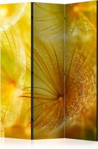 Kamerscherm - Scheidingswand - Vouwscherm - Soft dandelion flower [Room Dividers] 135x172 - Artgeist Vouwscherm