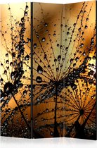 Kamerscherm - Scheidingswand - Vouwscherm - Dandelions in the Rain [Room Dividers] 135x172 - Artgeist Vouwscherm