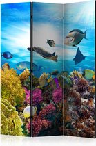 Kamerscherm - Scheidingswand - Vouwscherm - Coral reef [Room Dividers] 135x172 - Artgeist Vouwscherm