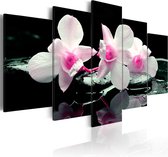 Schilderijen Op Canvas - Schilderij - Rest of orchids 100x50 - Artgeist Schilderij