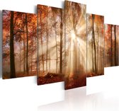 Schilderijen Op Canvas - Schilderij - Forest Fog 200x100 - Artgeist Schilderij