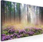 Schilderijen Op Canvas - Schilderij - Purple Meadow (1 Part) Wide 70x35 - Artgeist Schilderij