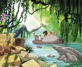 Komar | Jungle Book Swimming with Baloo | Fotobehang 368x254cm