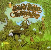 The Beach Boys - Smiley Smile/Wild Honey (CD)