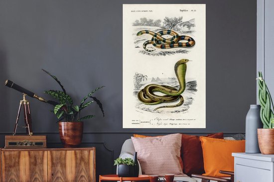 Stickers muraux - Serpent - Vintage - Reptiles - 80x120 cm - Film Adhésif
