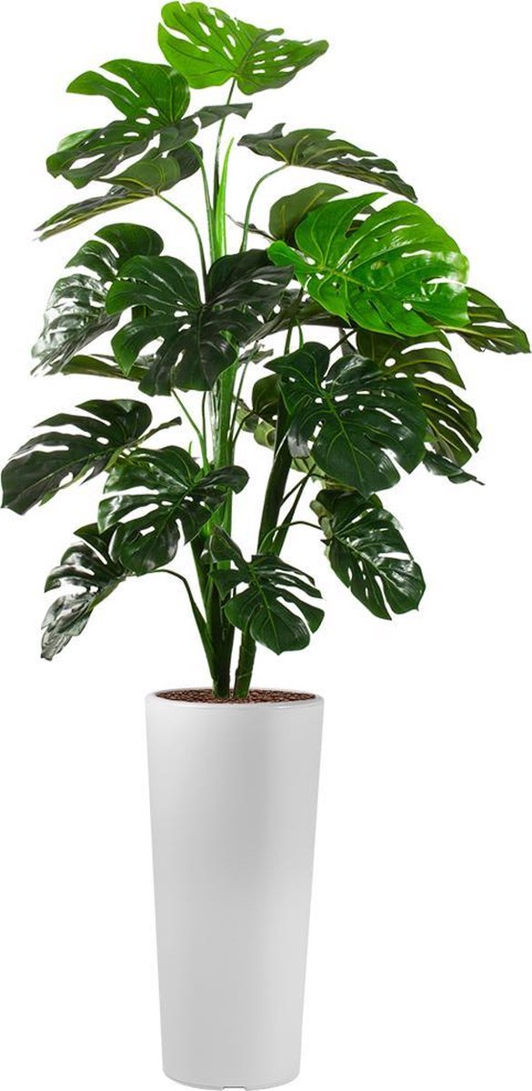 Kunstplant Monstera in Clou rond H185 cm