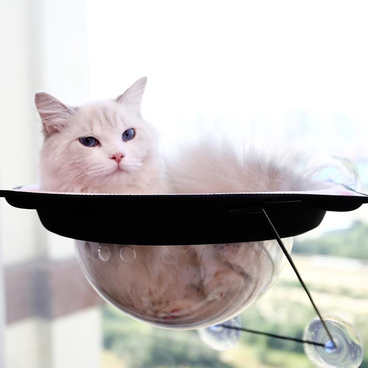 Nixnix - Kattenmand - Hangmand - Raam - Doorzichtig - Hangmat kat - Katten mand Raam - Kattenbed - Kattenkussen - Ligmat voor het venster