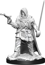 Wizkids: Pathfinder Battles- Deep Cuts - Human Male Rogue