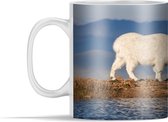Mok - Sneeuwgeit - Water - Dieren - 350 ml - Beker