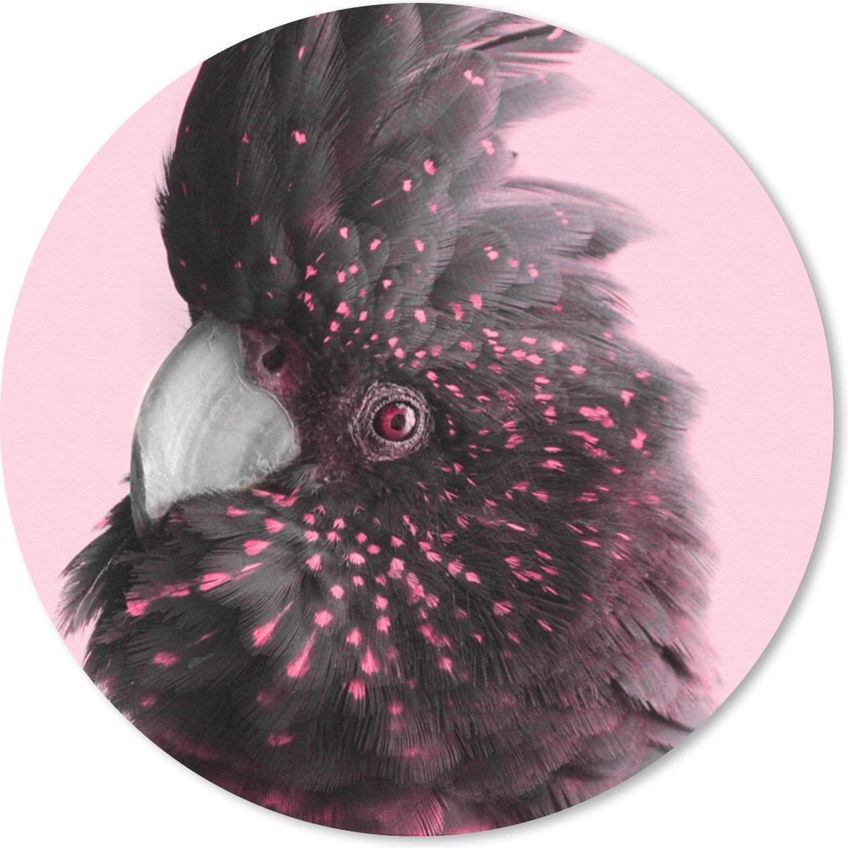 Muismat rond 40x40 cm - Mousepad Kaketoe - Roze - Zwart - Ronde muismatten