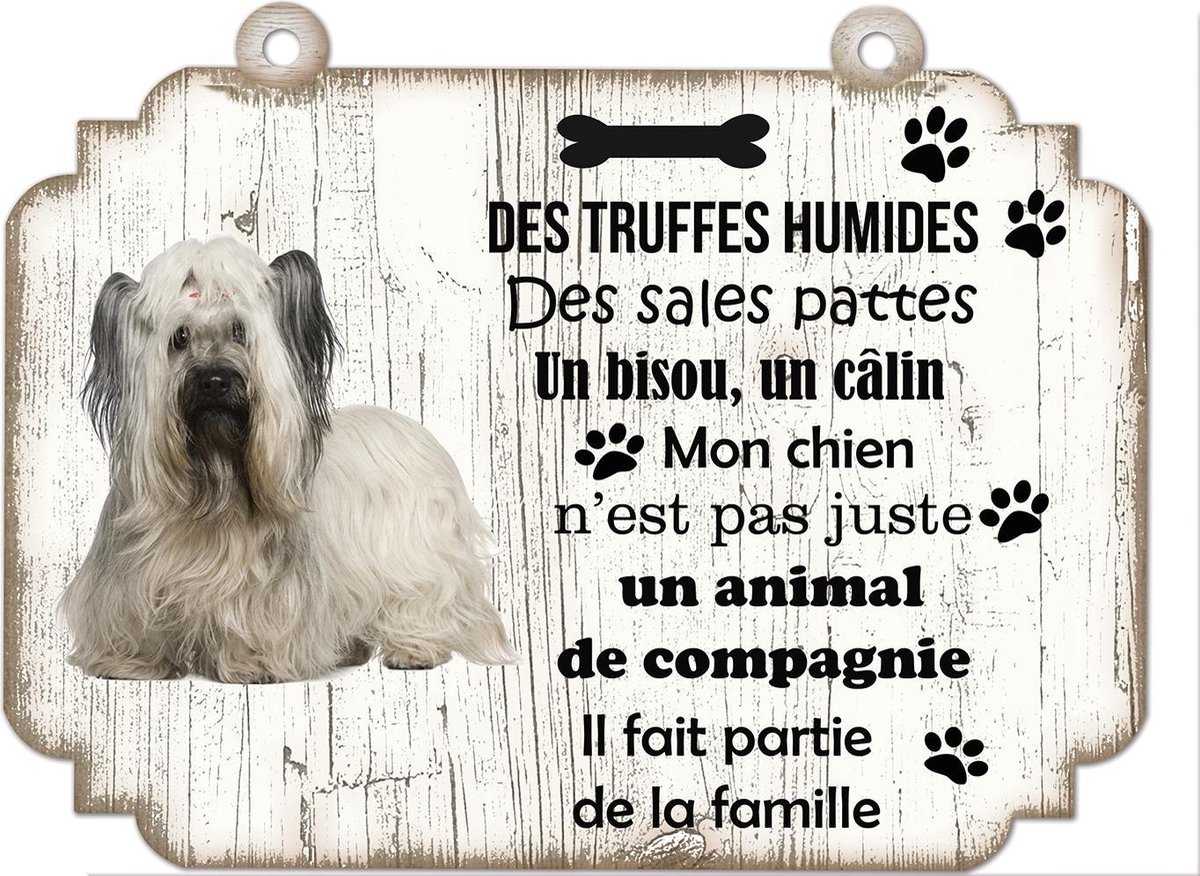 Tableau Déco - Skye Terrier