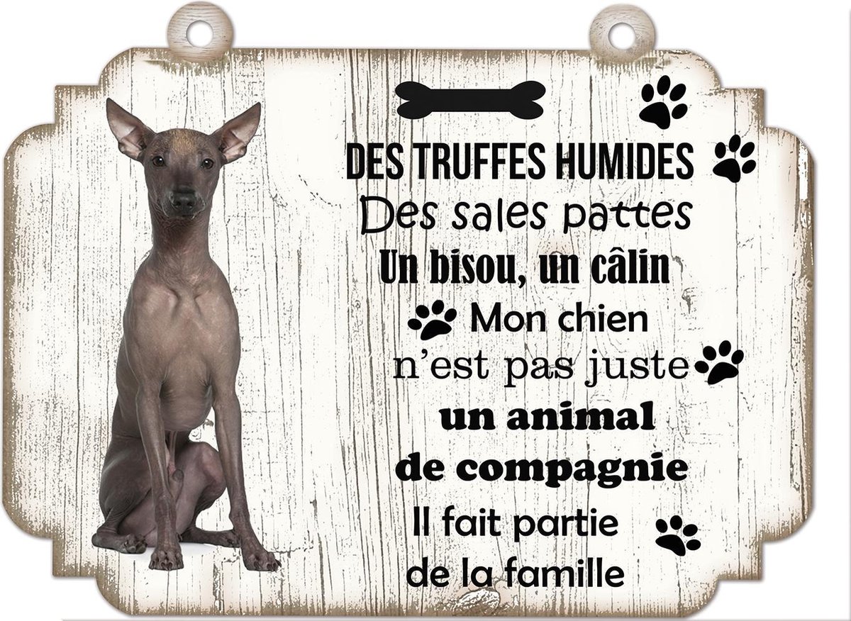 Tableau Déco - Chien Nu Du Pérou