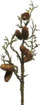 kunstplant Natural Pine Cone 72 cm zijde bruin
