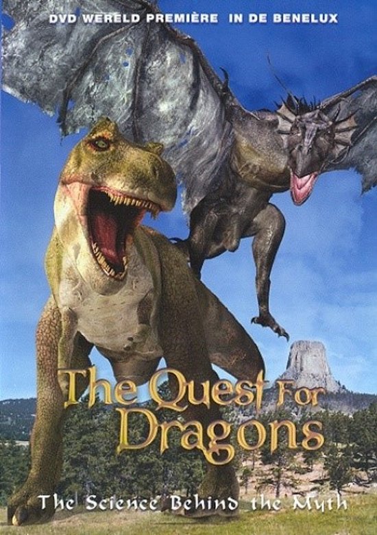 Cover van de film 'Quest For Dragons'
