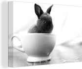 Tableau sur toile Bébé lapin dans une tasse de thé - noir et blanc - 60x40 cm - Décoration murale