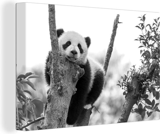 Tableau sur toile Panda accoud un arbre noir et blanc