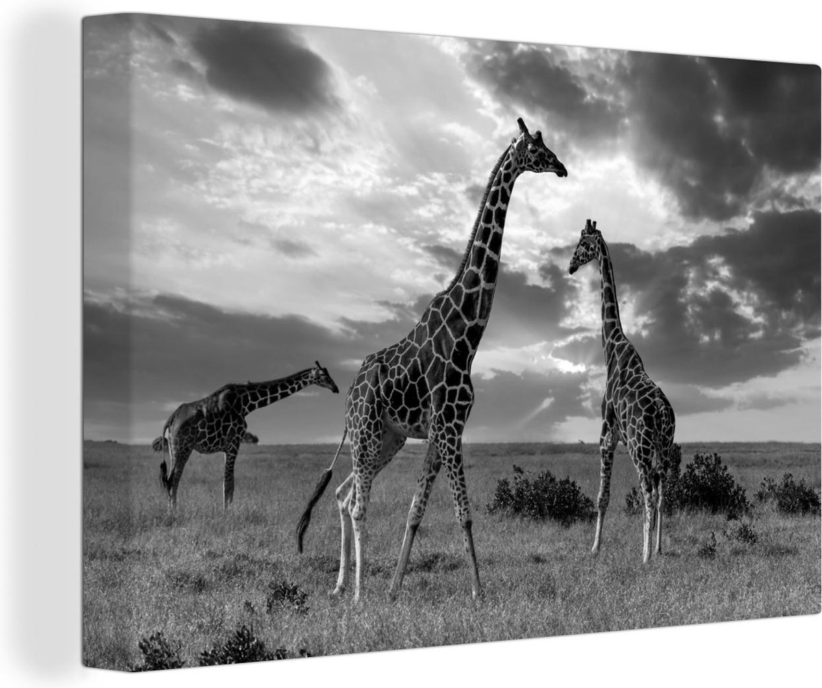 Tableau Acoustique Animal 90x60 Cm - Décoration Murale Anti-bruit, Impression Lion Noir Et Blanc