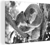 Canvas Schilderij Koala's - Knuffel - Dieren - Kinderen - Jongens - Meisjes - 80x60 cm - Wanddecoratie
