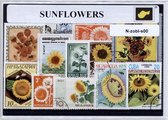 Zonnebloemen – Luxe postzegel pakket (A6 formaat) : collectie van verschillende postzegels van zonnebloemen – kan als ansichtkaart in een A6 envelop - authentiek cadeau - kado - geschenk - kaart - Helianthus annuus - bloem - bloemen - zon - geel