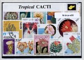 Tropische cactussen – Luxe postzegel pakket (A6 formaat) : collectie van verschillende postzegels van tropische cactussen – kan als ansichtkaart in een A6 envelop - authentiek cadeau - kado - geschenk - kaart - cactus - woestijn - tropen - natuur