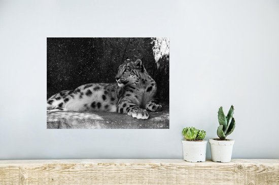 Affiche Panthère - Zwart - Wit - 40x30 cm